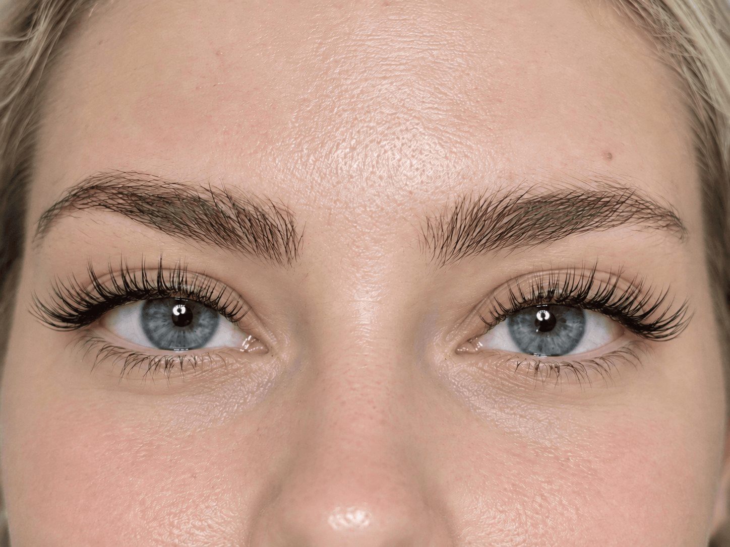 lash extensions photo